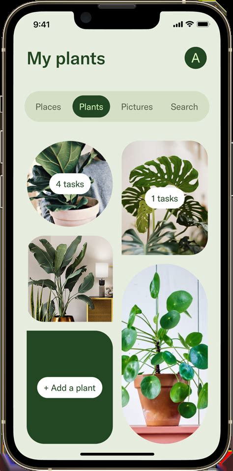 iPhone. iPad. Keep track of your plants and grow your best garden with Gardenize! – Identify plants and add them directly to your digital garden. – Organize and create an overview of everything you have planted and where. – Get a historic overview of everything that has happened in your garden.